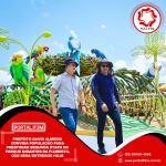 Feed_Portal IF3M (7)