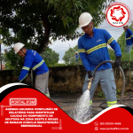 Feed_Portal-IF3M-2024-12-12T092210.369