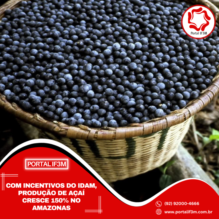 Feed_Portal-IF3M-2025-05-20T143559.014