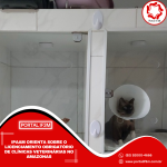 Feed_Portal IF3M (23)