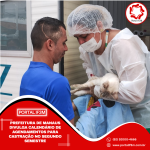 Feed_Portal-IF3M-2025-06-27T103056.799