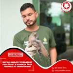 Feed_Portal IF3M (28)