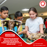 Feed_Portal IF3M (1)