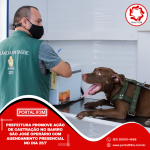 Feed_Portal IF3M (14)