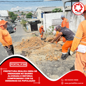 Feed_Portal IF3M - 2025-07-21T173856.686