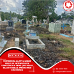 Feed_Portal IF3M - 2025-07-29T150425.097