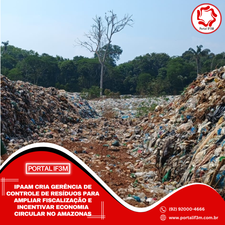 Feed_Portal IF3M - 2025-07-31T102025.200