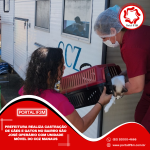 Feed_Portal IF3M (13)