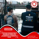 Feed_Portal IF3M (15)