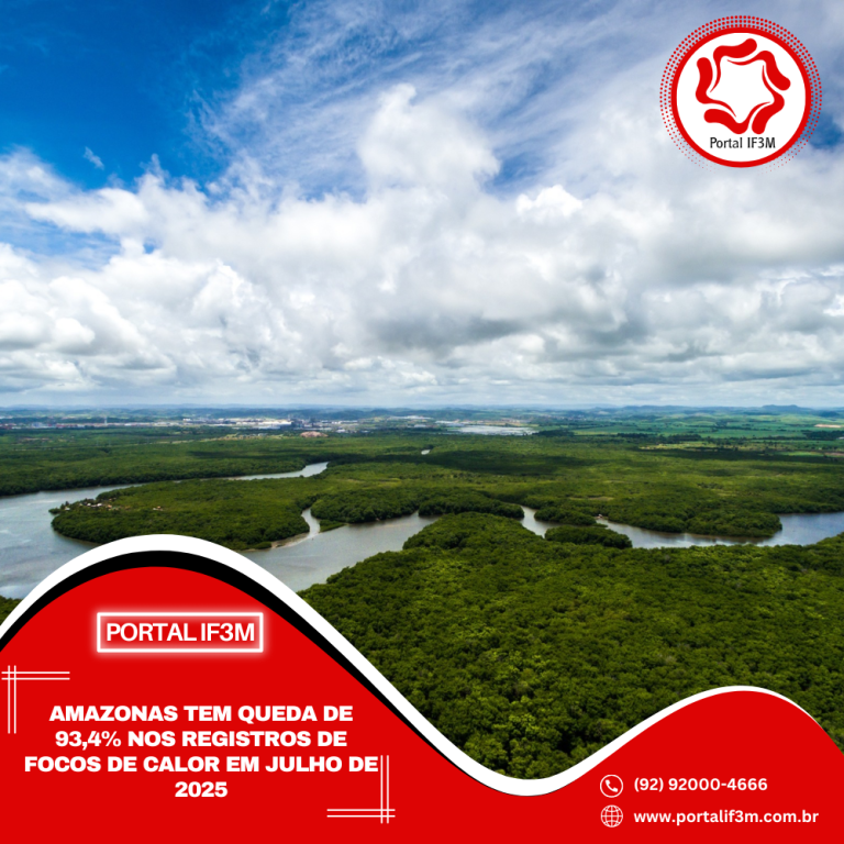 Feed_Portal IF3M (17)