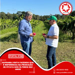 Feed_Portal IF3M (2)