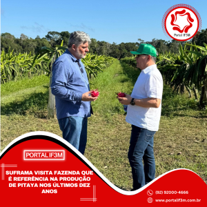 Feed_Portal IF3M (2)