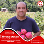 Feed_Portal IF3M - 2025-08-01T090041.644