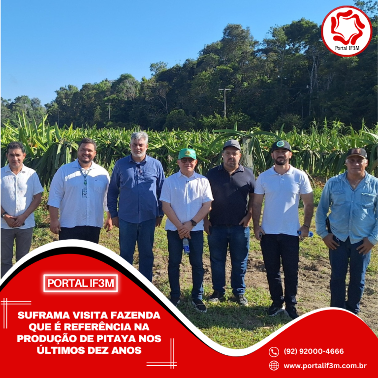 Feed_Portal IF3M - 2025-08-01T114238.451