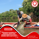 Feed_Portal IF3M - 2025-08-14T154956.232