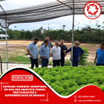 Feed_Portal IF3M - 2025-08-18T141649.748