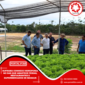 Feed_Portal IF3M - 2025-08-18T141649.748