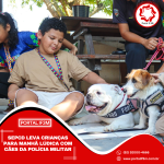 Feed_Portal IF3M - 2025-08-25T104157.899