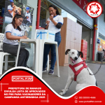 Feed_Portal IF3M (2)