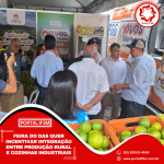 Feed_Portal IF3M - 2025-09-08T152321.098