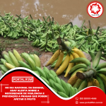 Feed_Portal IF3M - 2025-09-22T105949.620