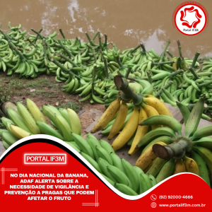 Feed_Portal IF3M - 2025-09-22T105949.620