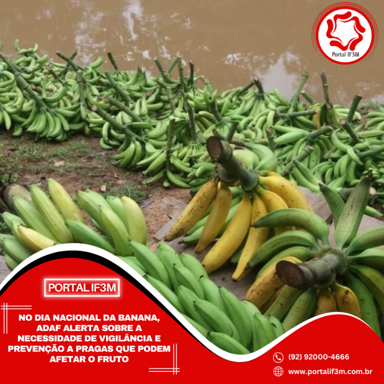 Feed_Portal IF3M - 2025-09-22T105949.620