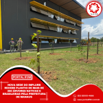 Feed_Portal IF3M - 2025-09-30T112848.175