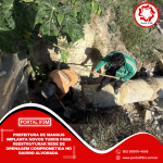 Feed_Portal IF3M (7)