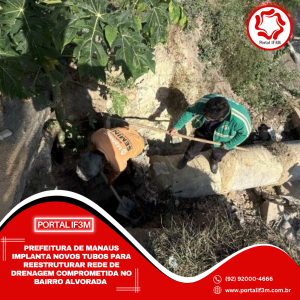 Feed_Portal IF3M (7)