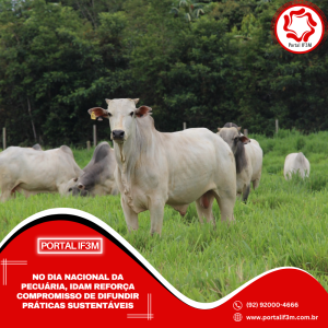 Feed_Portal IF3M (17)