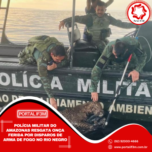 Feed_Portal IF3M - 2025-10-02T135117.164