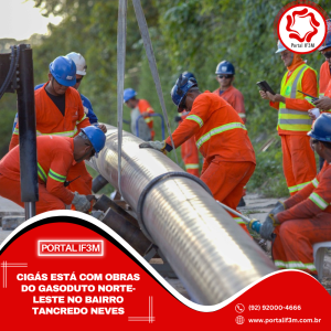 Feed_Portal IF3M - 2025-10-09T111617.541