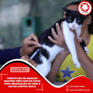 Feed_Portal IF3M (7)