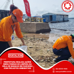 Feed_Portal IF3M (2)