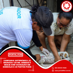 Feed_Portal IF3M - 2025-11-12T170433.164