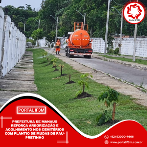 Feed_Portal IF3M - 2025-11-18T134744.078