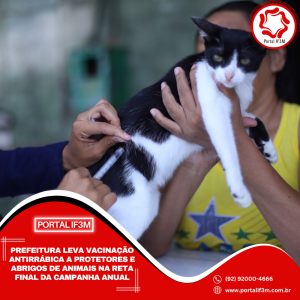 Feed_Portal IF3M (1)