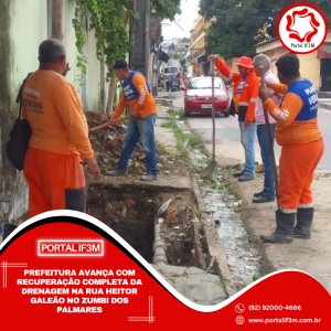 Feed_Portal IF3M (1)