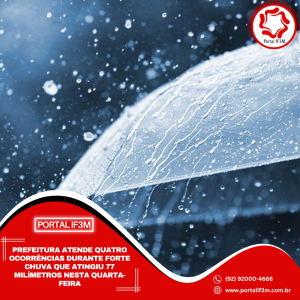 Feed_Portal IF3M (2)