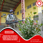 Feed_Portal IF3M - 2025-12-12T152417.192