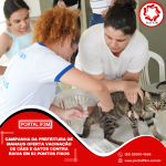 Feed_Portal IF3M (51)