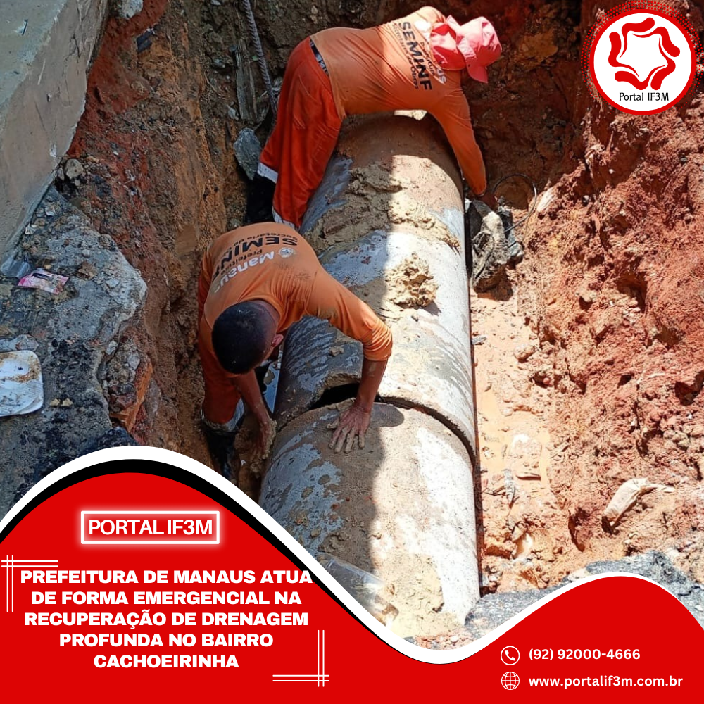 Feed_Portal IF3M (1)