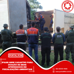 Feed_Portal IF3M - 2026-01-12T155324.347