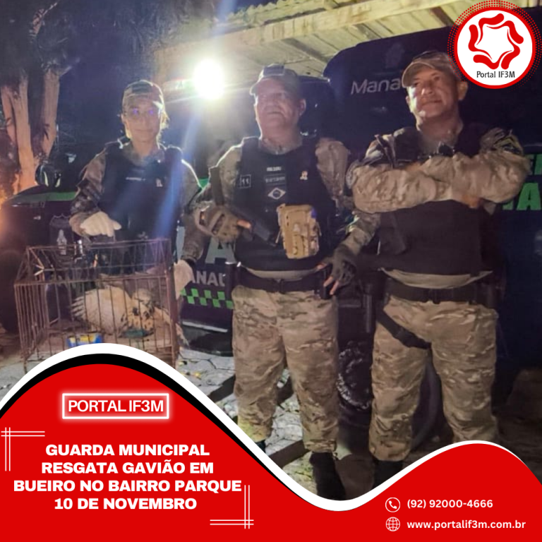 Feed_Portal IF3M - 2026-01-28T094335.962