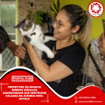 Feed_Portal IF3M (69)