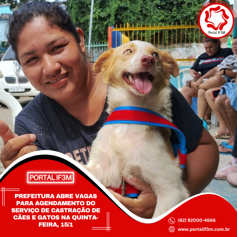 Feed_Portal IF3M (8)