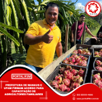 Feed_Portal IF3M (92)