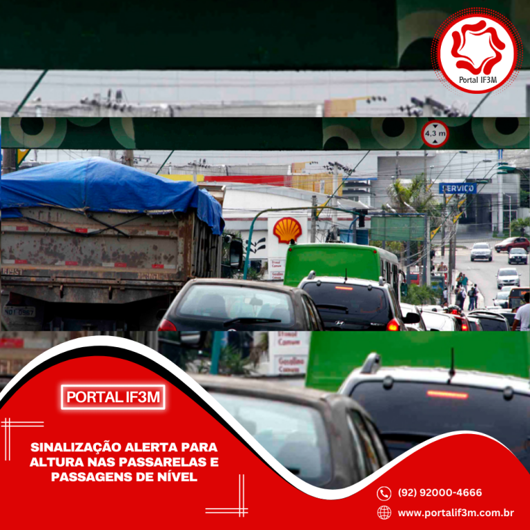 Feed_Portal IF3M (10)