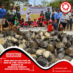 Feed_Portal IF3M (1080 x 1080 px) (58)